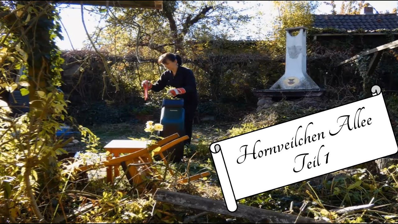 Hornveilchen Allee Teil 1
