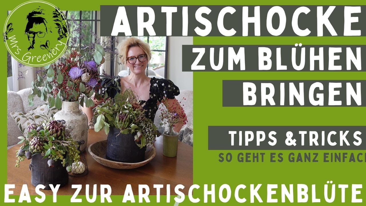 Von der Artischocke zur Bl&uuml;te: so klappt es! Meine Tipps f&uuml;r euch.