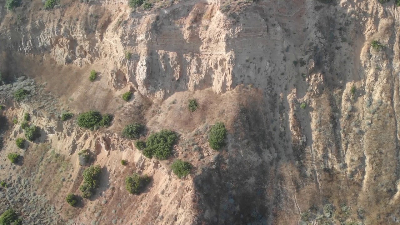 Palos Verdes Nature Preserve - Forrestal Reserve