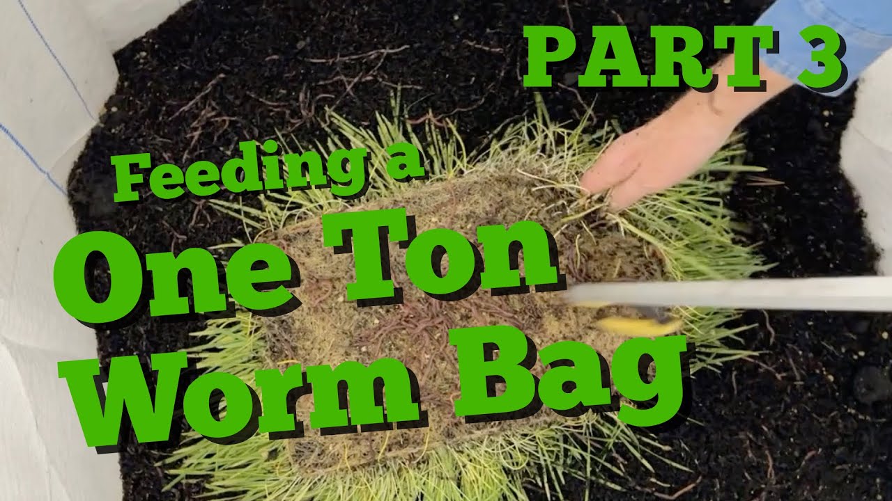 One Ton Worm Casting Bag | Part 3