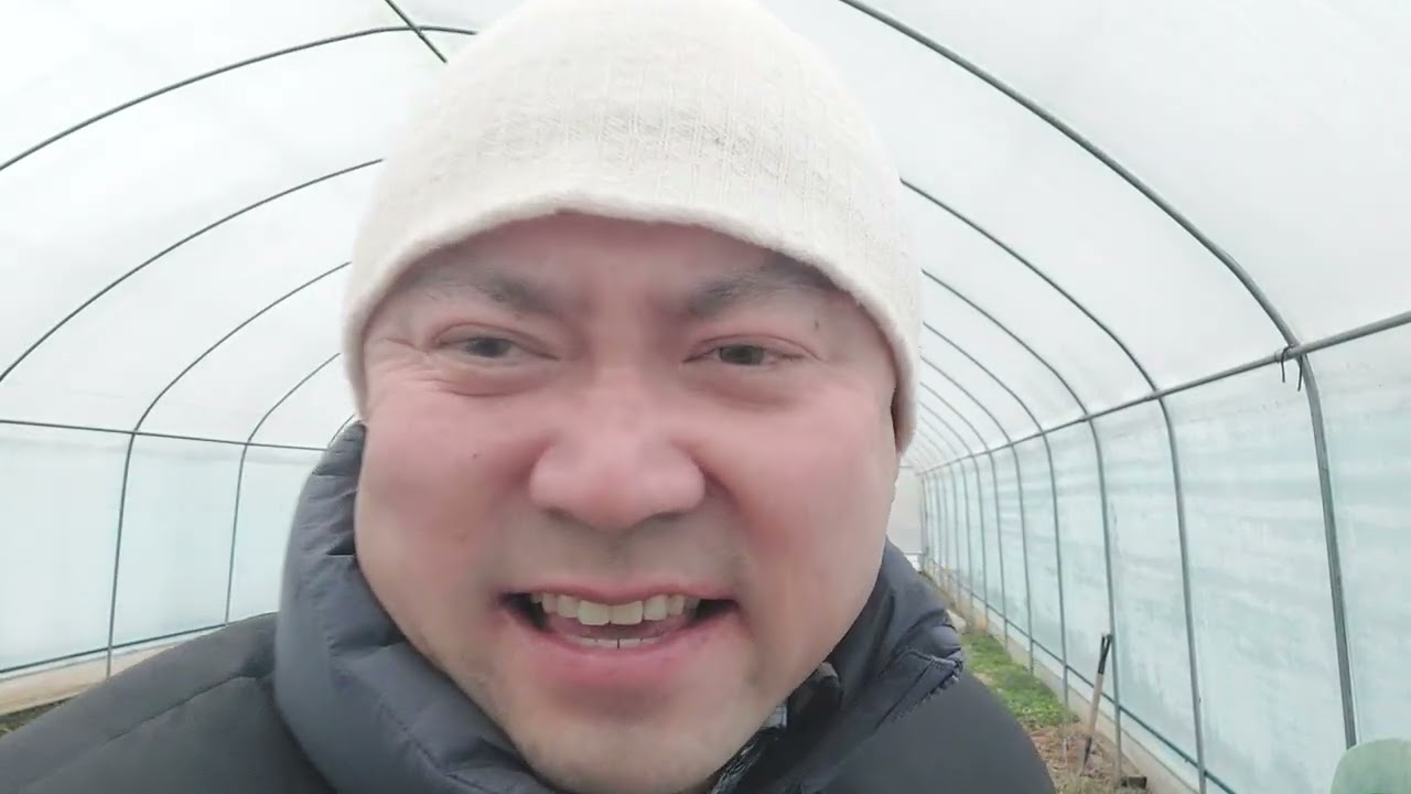 하얀그리움