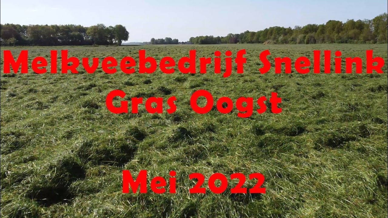 Grasoogst Mei 2022 Melkveebedrijf Snellink