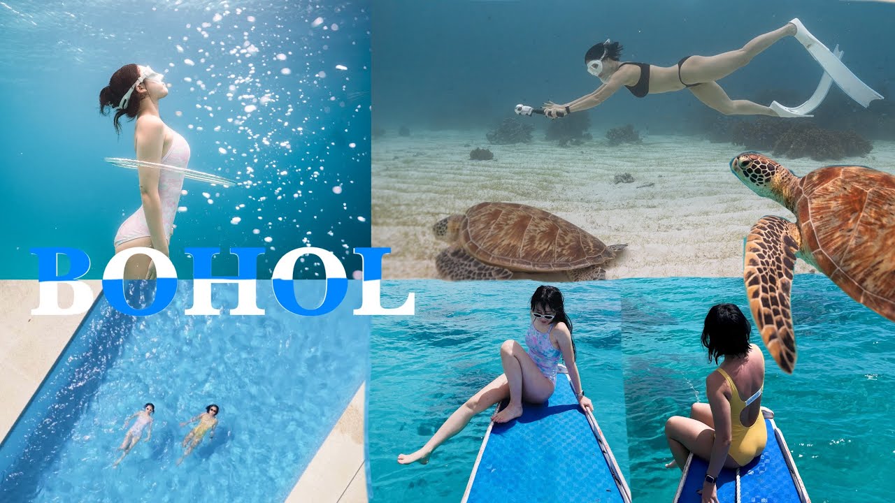 🇵🇭보홀 해외 프리다이빙 투어ㅣBoholㅣfreediving 고래상어 바다거북이