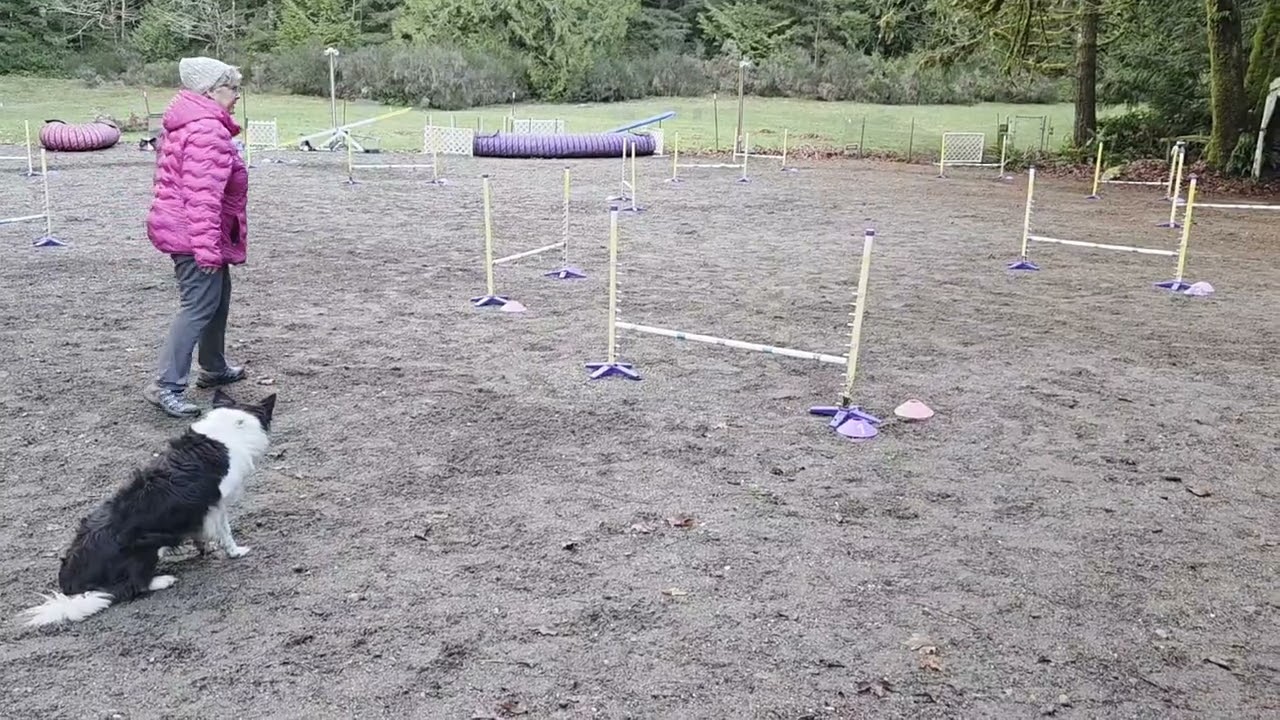 2.9.2026 Jumpers Elite Rd 2