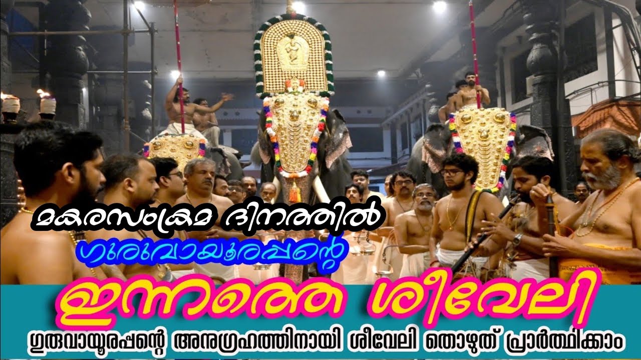 ഗുരുവായൂർ ക്ഷേത്രത്തിലെ ശീവേലിയും പ്രഭാത കാഴ്ച്ചകളും | 14/01/2026 | Guruvayur Temple Morning Shiveli