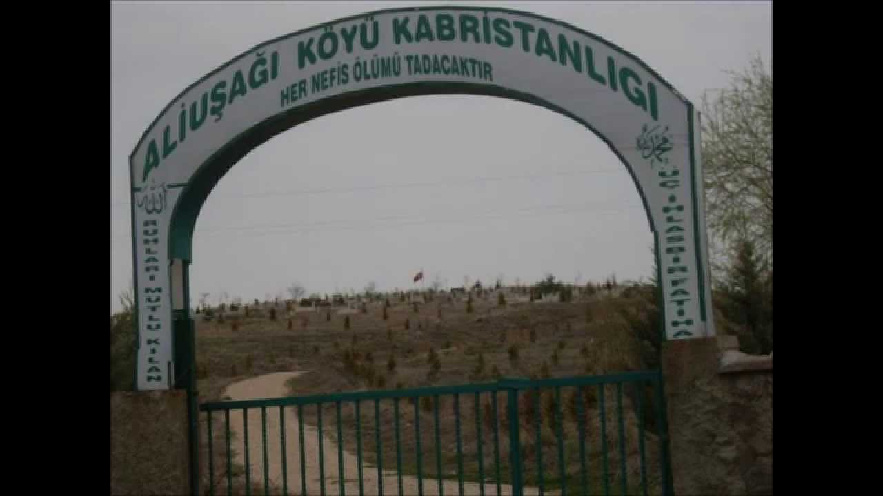 alusagi koyü
