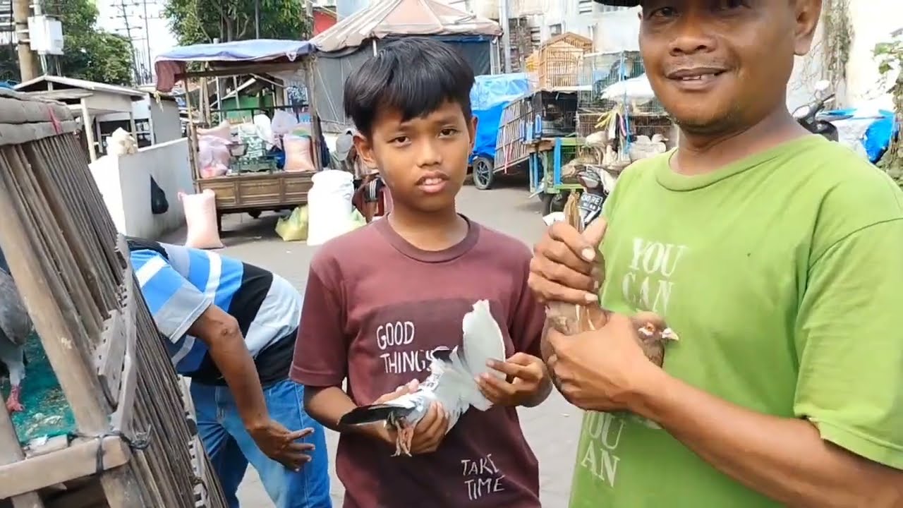 Review Merpati di Pasar Sepanjang Taman Sidoarjo.