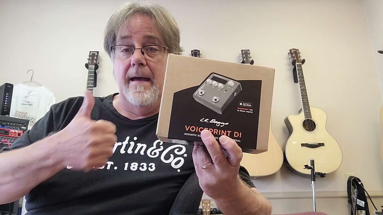 L.R Baggs Voiceprint DI quick audition