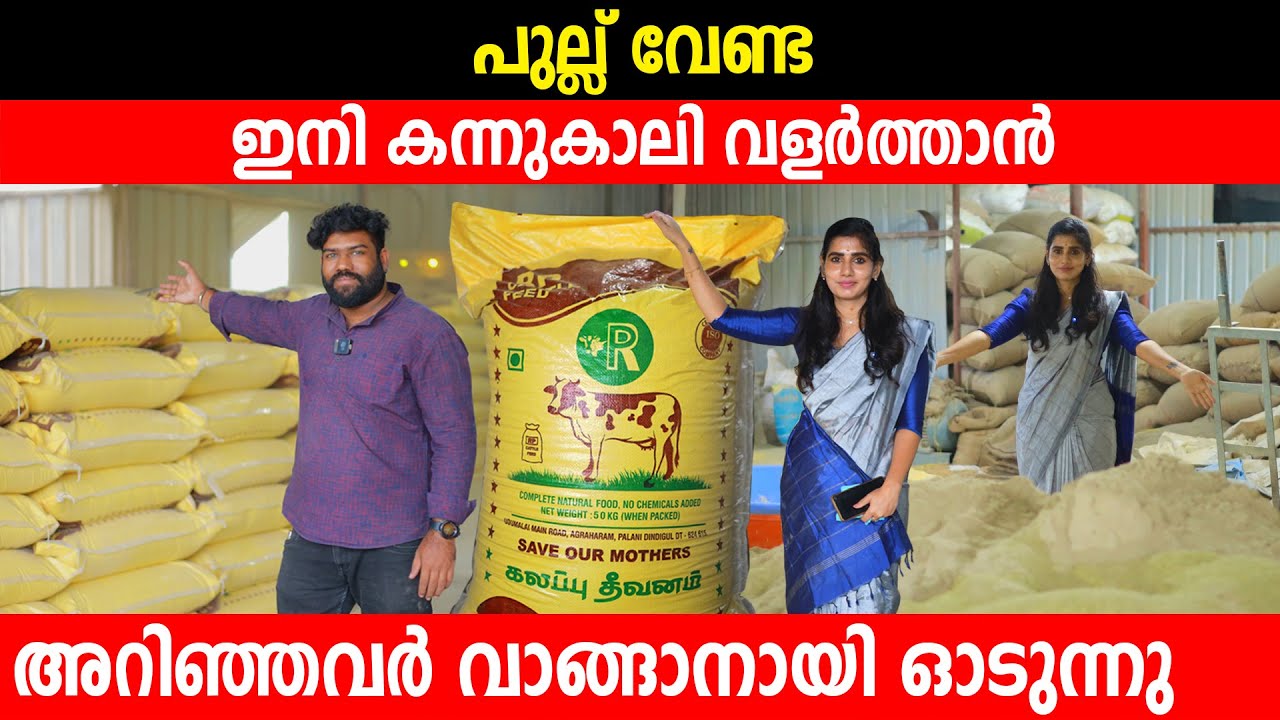 ഇനി പുല്ല് വേണ്ട കന്നുകാലി വളർത്താൻ | പുതിയ കണ്ടുപിടുത്തം പലരെയും രക്ഷിക്കും | RP Cattle feed CFC