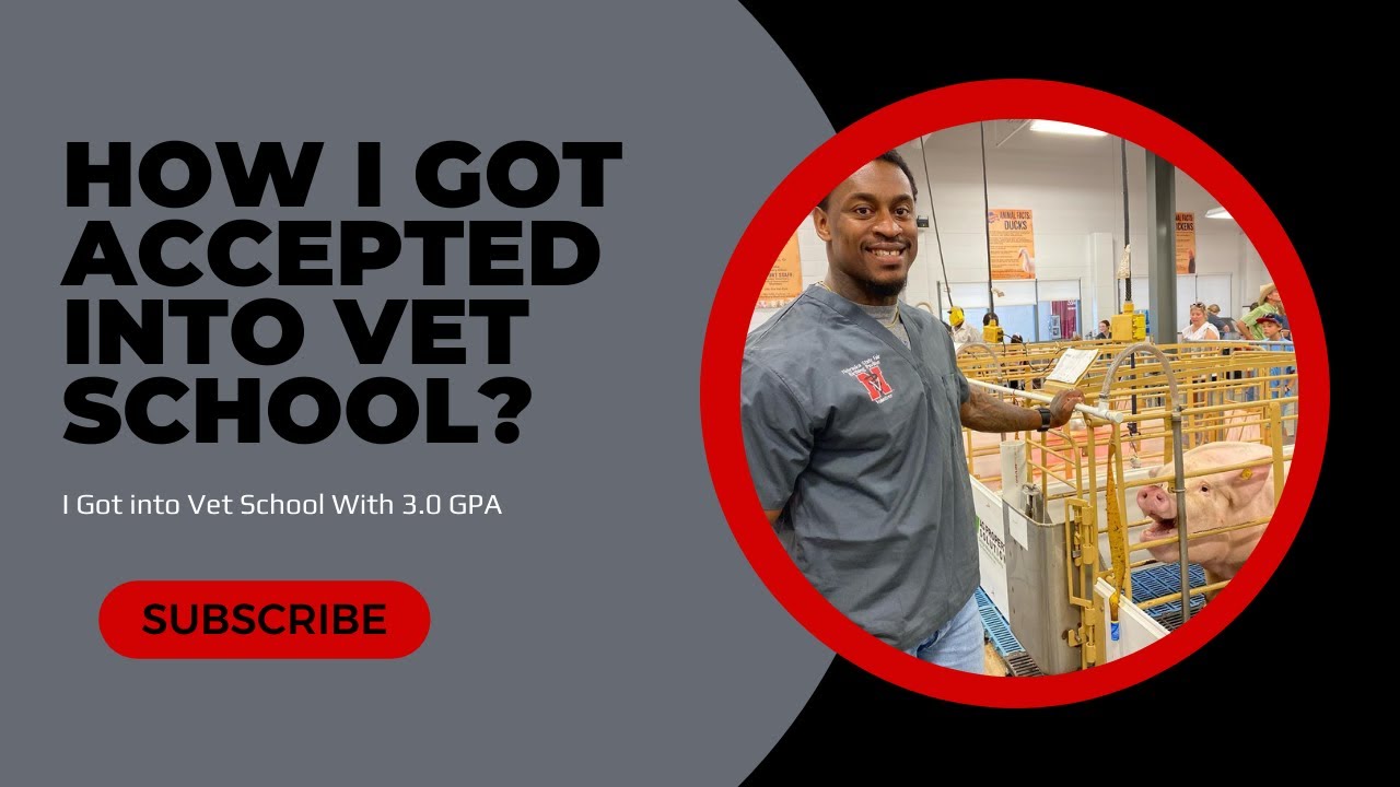How I Got Accepted into Vet School with a 3.0 GPA