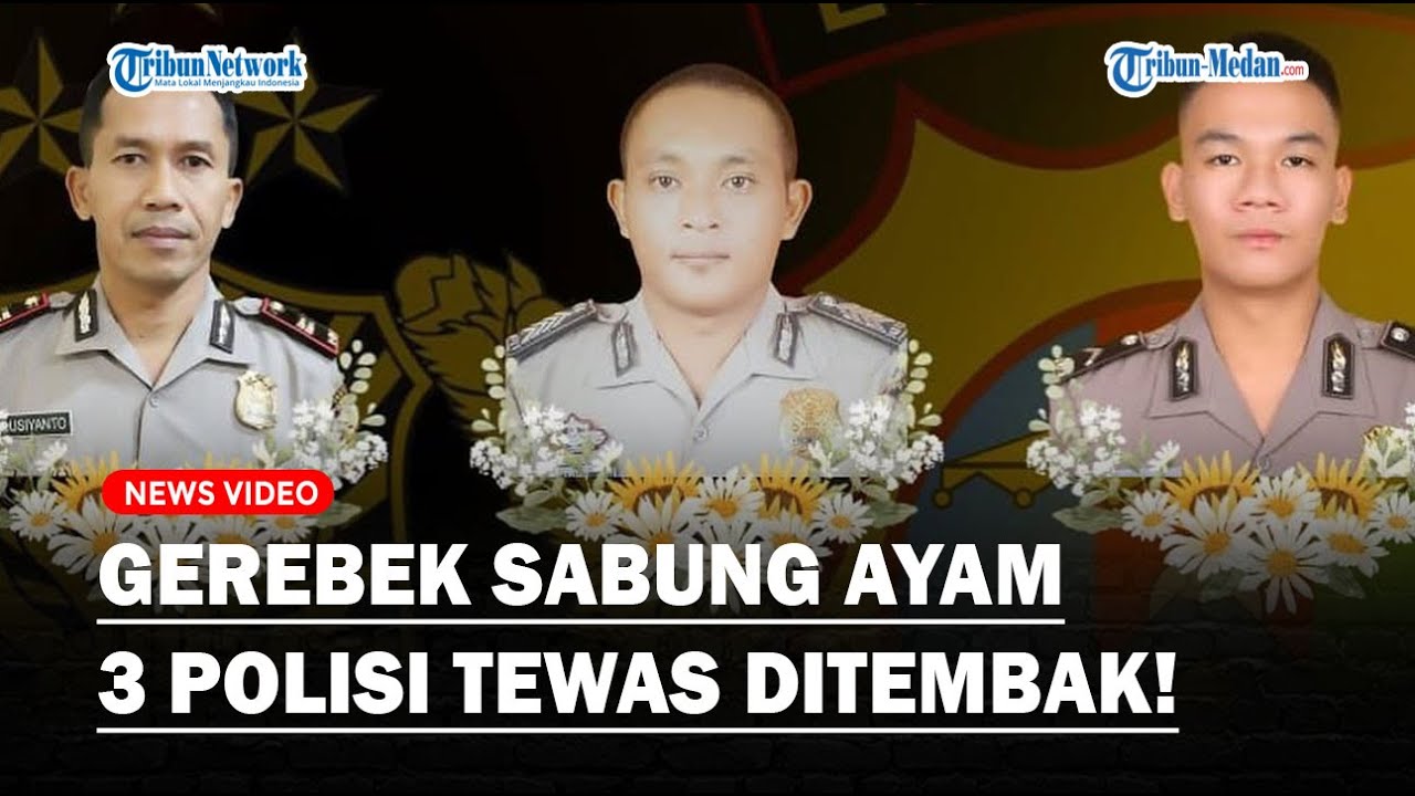 GEREBEK SABUNG AYAM, Kapolsek dan 2 Personel Tewas Ditembak, Pelaku Diduga Oknum TNI❓