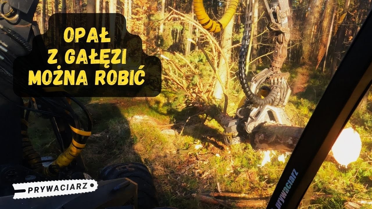 Pora na zrembora 3🌲Operator Harwestera🌲Ponsse Ergo🌲Prywaciarz
