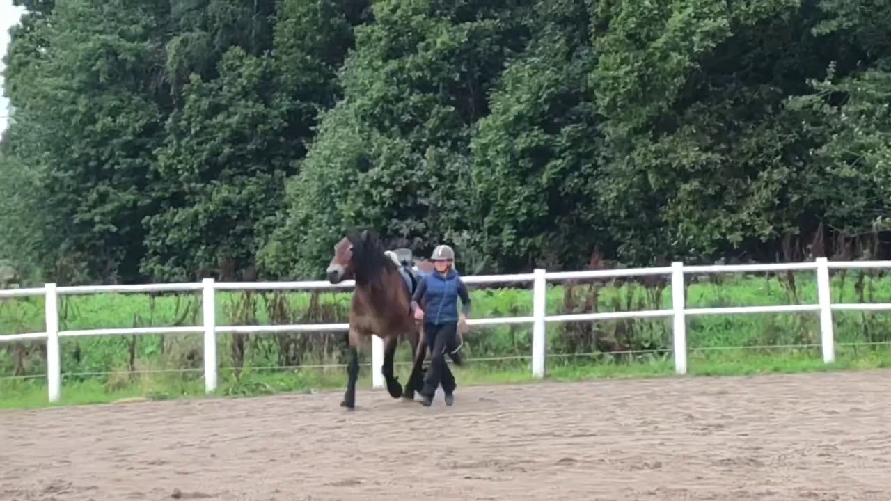 Ridning utan huvudlag! Freestyle riding!