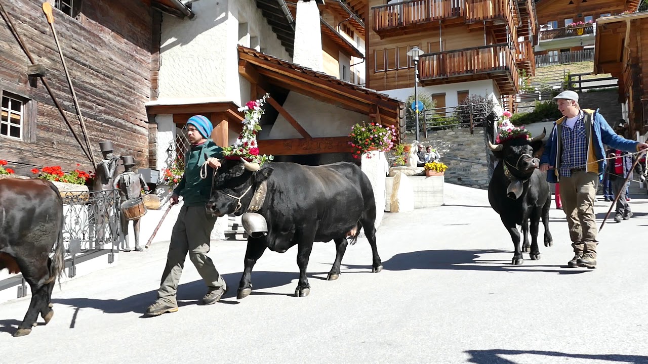 La désalpe Saint-Luc, Anniviers-