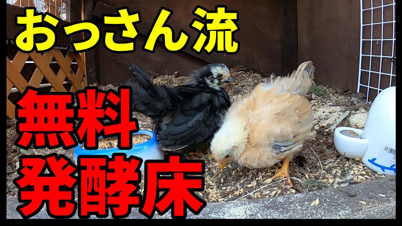 とにかく金をかけずに発酵床をつくる‼【鶏飼育】 15話目