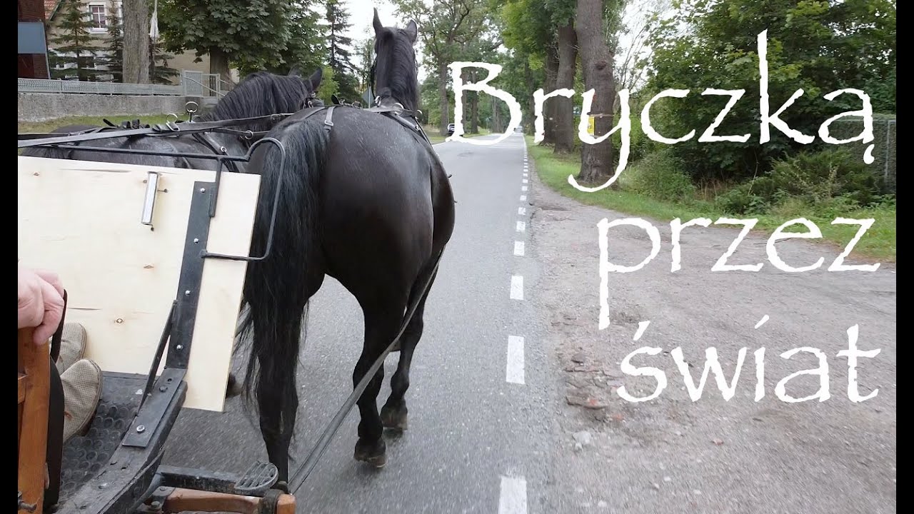 Pokażę Wam mój świat.....Świat widziany z bryczki.