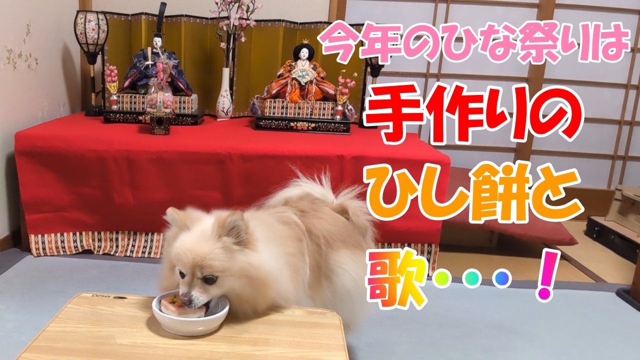 ポメラニアンの今年のひな祭りは、手作りのひし餅と歌。