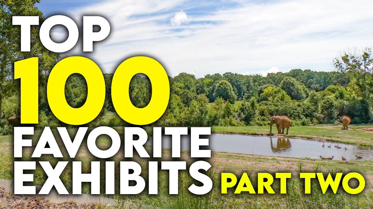 Top 100 Favorite Zoo Exhibits - PART TWO (1-49)