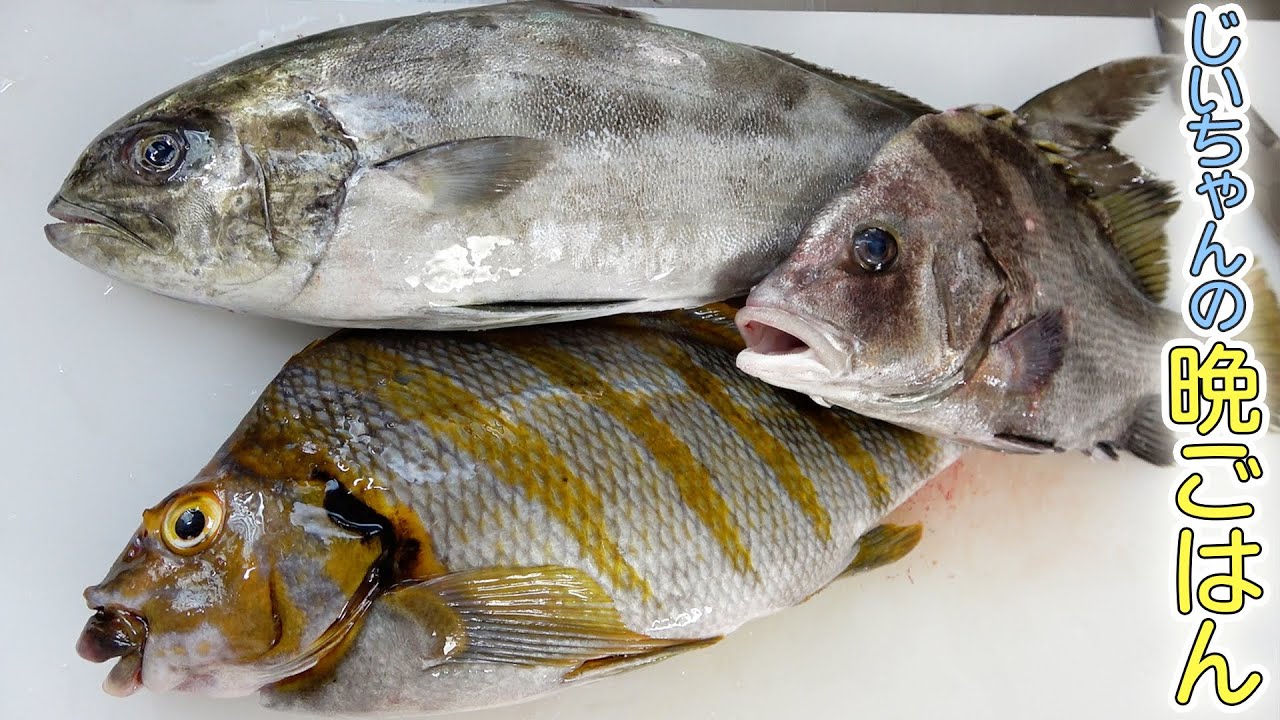 【爺ちゃんの晩御飯】3種の白身魚でお寿司三点盛りを作ったよ！！