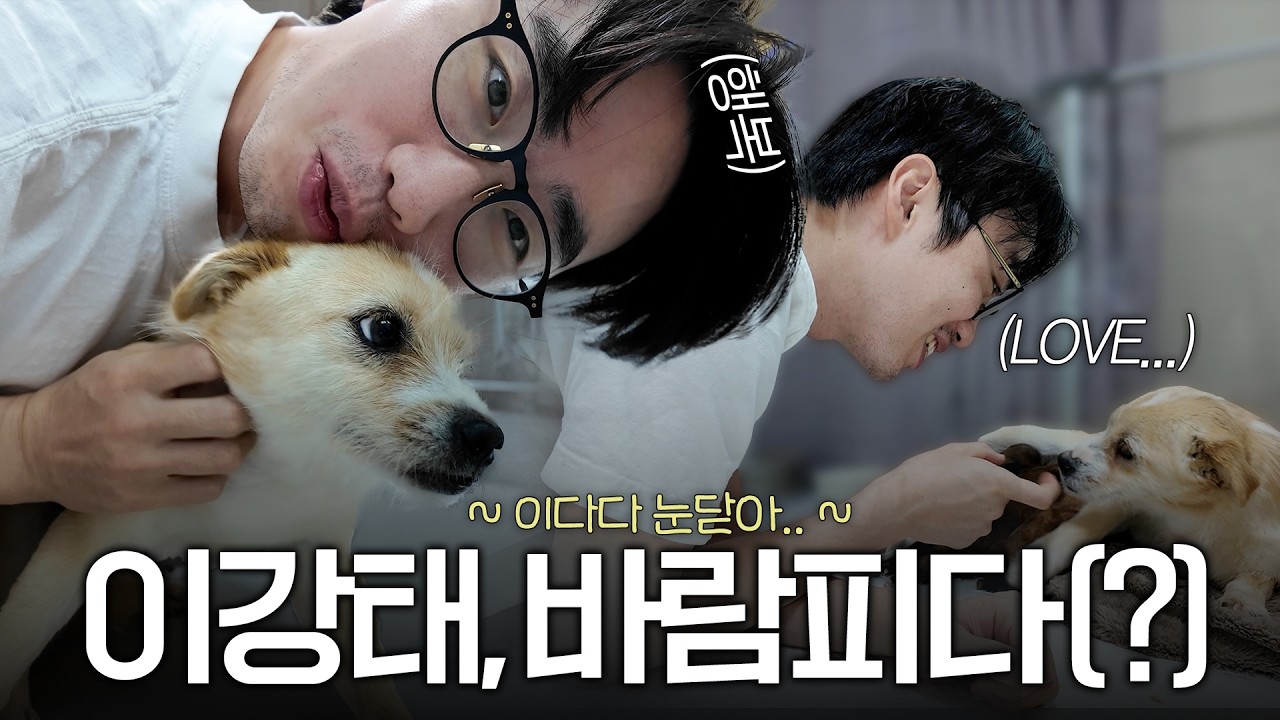 조청이와 바람난 이강태