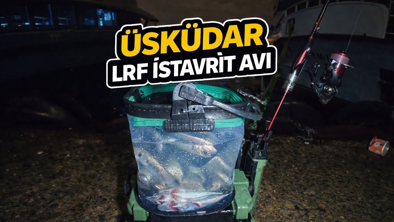 ÜSKÜDAR LRF İRİ İSTAVRİT AVI / LRF BALIK AVI