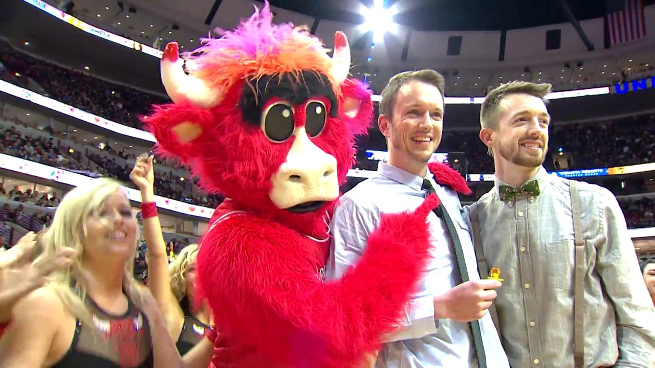 Gay marriage proposal at a Chicago Bulls game
