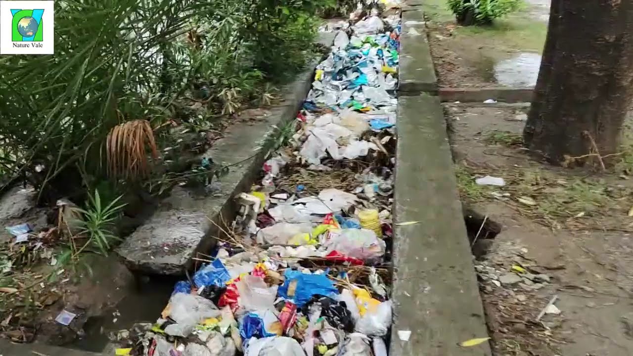 Plastic Pollution in Rivers of Pakistan