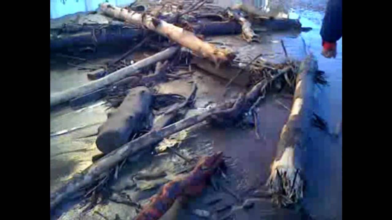inundacion en tuxpan michoacan