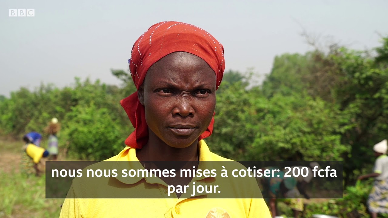 La jacinthe d’eau, une plante aux vertus écologiques - Questions d'Argent