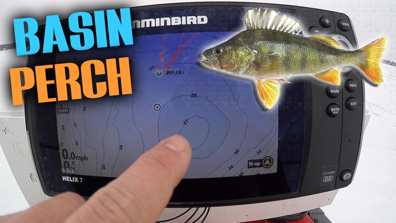 Chasing BASIN Perch - Mid Winter Tactics