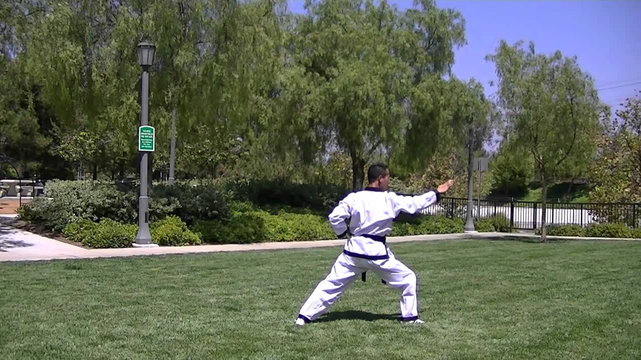 Hapkido Chun Ki Hyung Sae Side View 합기도 천기 형세