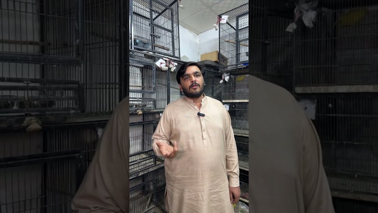 Multan Pets is live