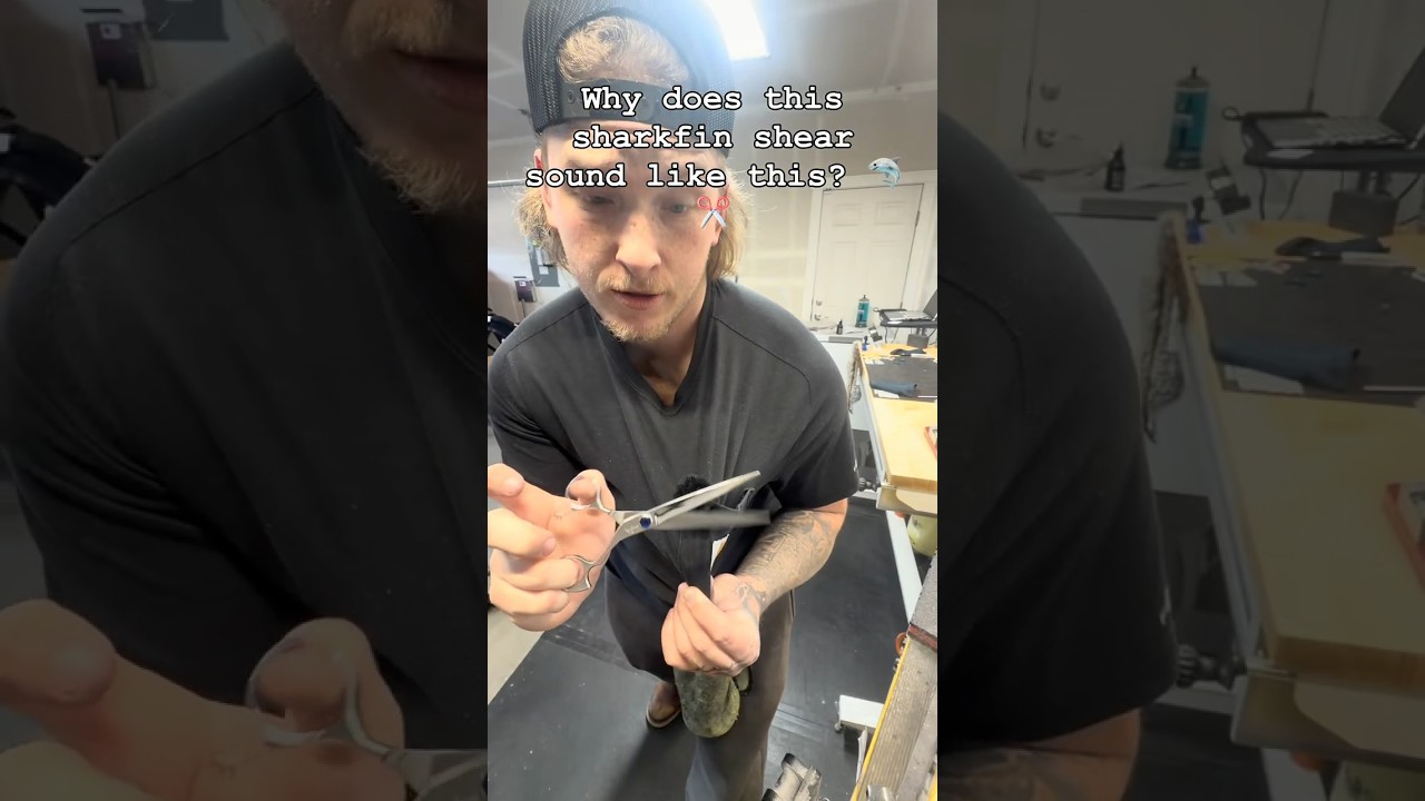 Восстановление/заточка этих ножниц Sharkfin 7.0. 🦈✂️Подписывайтесь!