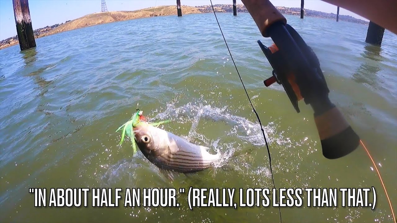 Fly Fishing the San Francisco Bay (Part 3)