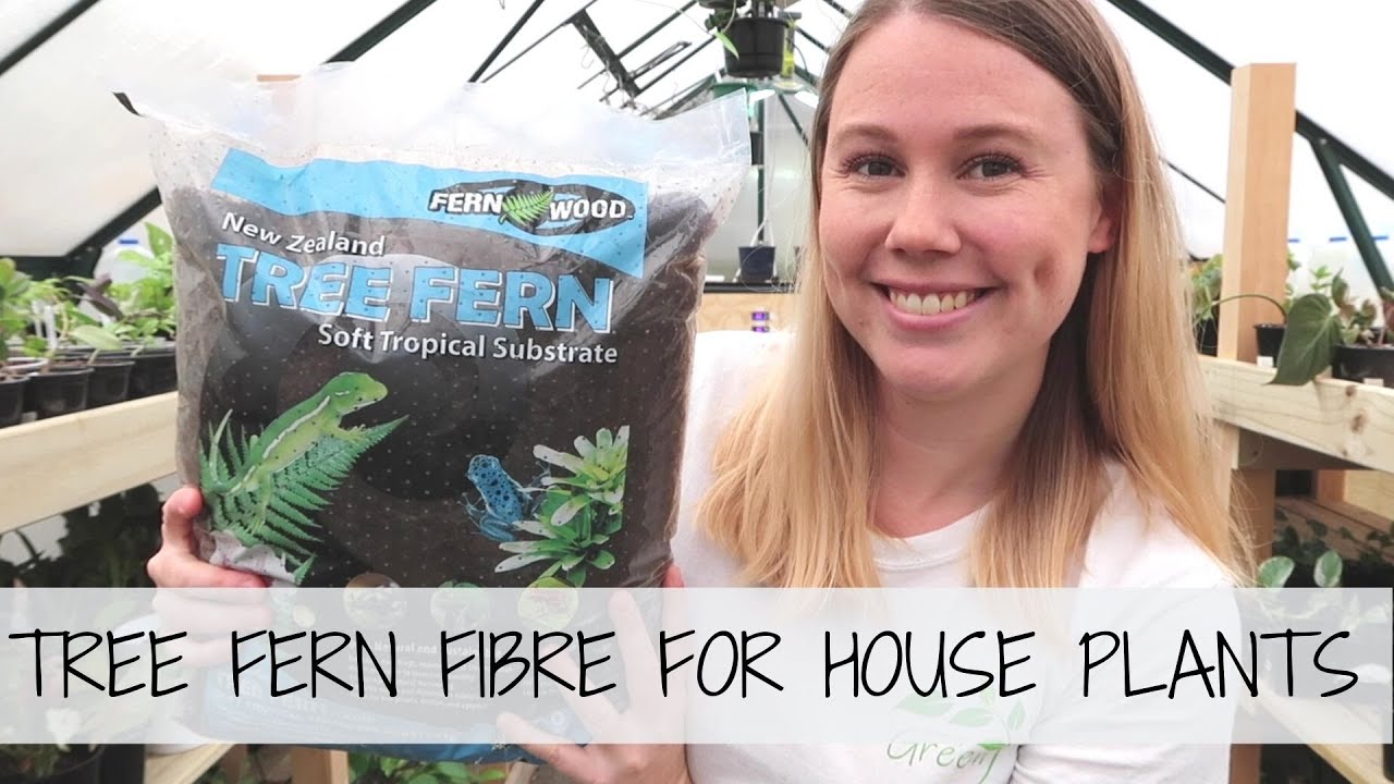 What is TREE FERN FIBRE? 🌱 How It's Used, Benefits + Demonstration