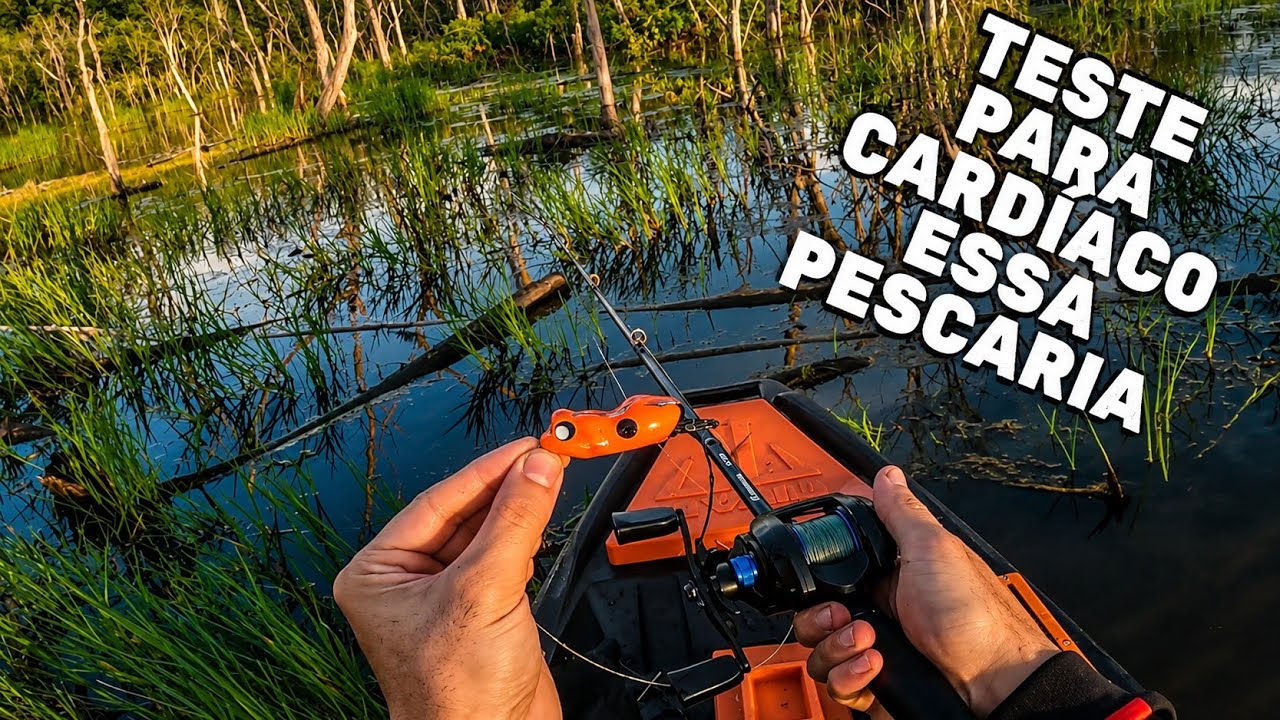 O QUE ACONTECEU AQUI HOJE? TRAIRAS SEM MEDO DE ATACAR! Pesca de trairas com frog