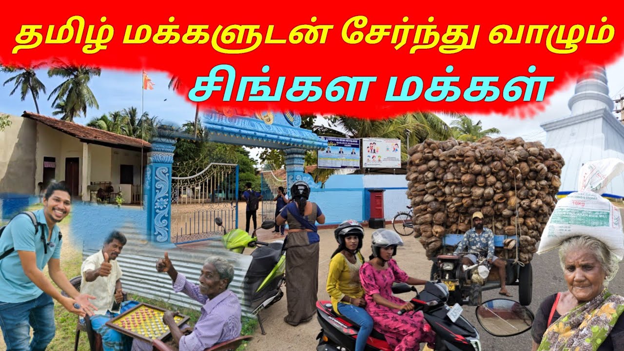 யாழில் வித்தியாசமான ஊர்😲 | தமிழ் மக்களுடன் சேர்ந்து வாழும் சிங்கள மக்கள் | Navatkuli | Sri Lanka
