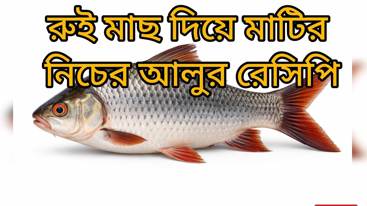 মাটির নিচের আলুর দিয়ে রুই মাছ রান্না! গ্রাম ইস্টালে মাছের ঝোল 👍❣️#viral #cooking #video 