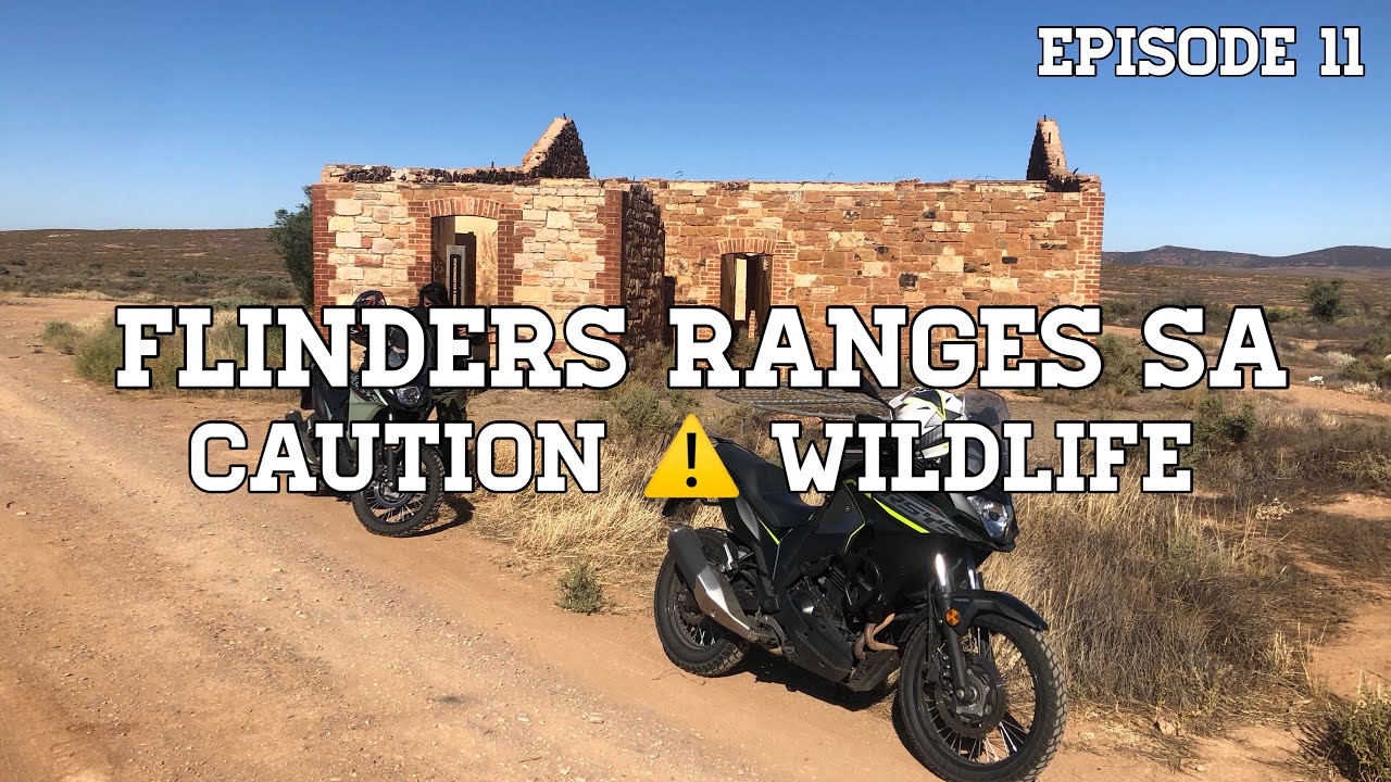 Однодневная мотоциклетная поездка в горы Флиндерс, Куорн, Хоукер Блинман, Кавасаки Верси x300. Эп...