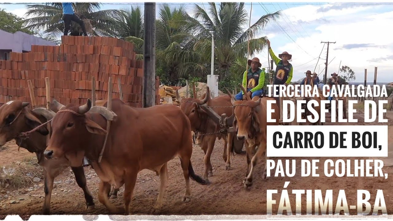 Terceira Edição da cavalgada dos amigos e desfile de carro de boi, Pau de Colher, Fátima-BA. 
