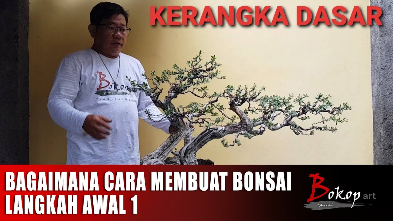BAGAIMANA CARA MEMBUAT BONSAI, Langkah Awal 1