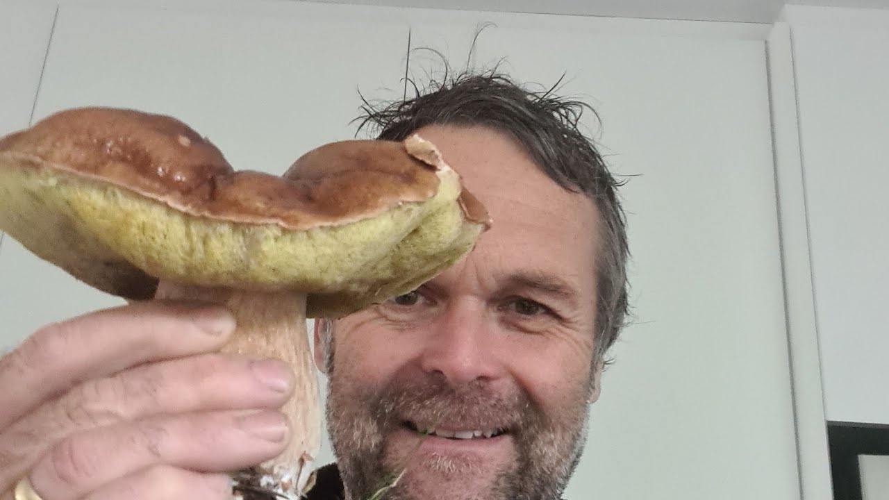 Cooking porcini, birch boletes and field mushrooms for lunch