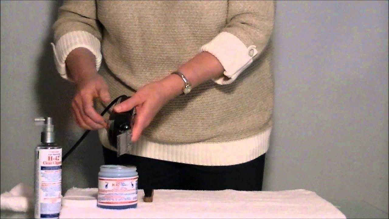 How To Use Virucidal Anti-Bacterial H-42 Clean Clipper