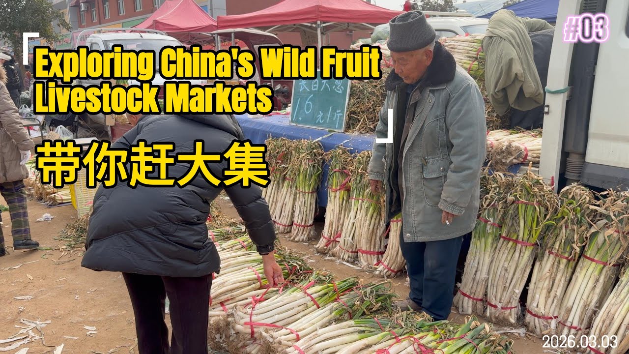 The Real Rural China: Exploring a Massive Traditional Market for Fruits, Vegetables and Livestock