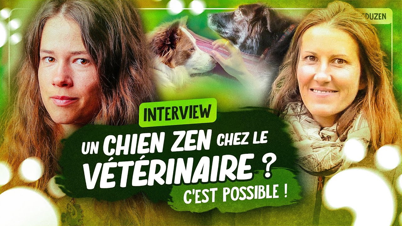 Son chien n'a plus peur chez le vétérinaire ! | Laetitia Gonnon - Eduzen