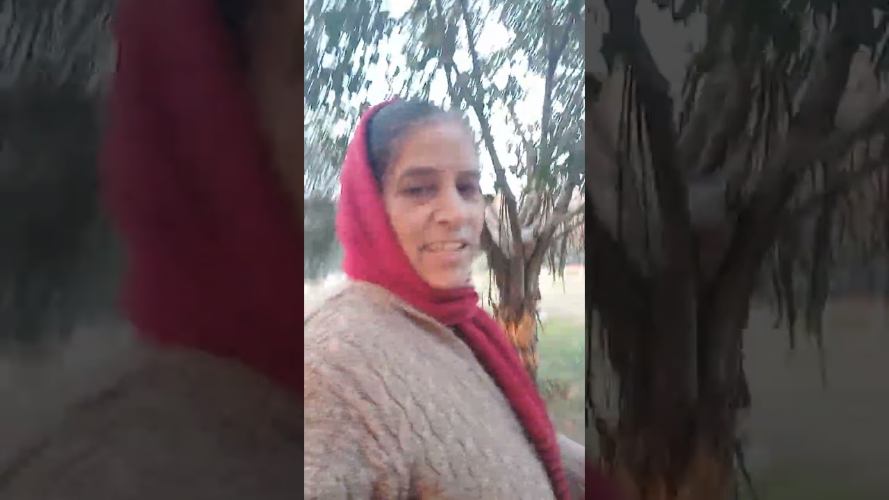 Dadi Dost and Park ki Sair 