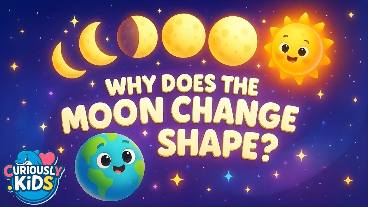 Why Does the Moon Change Shape? 🌕✨ | Moon Phases Explained for Kids | Curiously Kids
