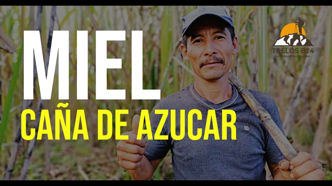 como hacer miel de ca&ntilde;a casera, conozca su proceso-trelos b24