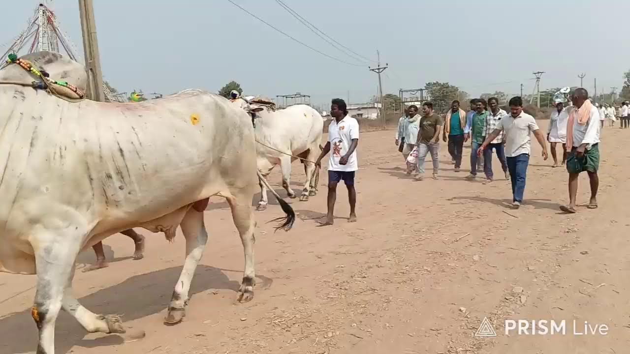మేళ్లచెరువు 6వ మంగు రమాదేవి గారు ఈ ర్లపాడు నాదెండ్ల