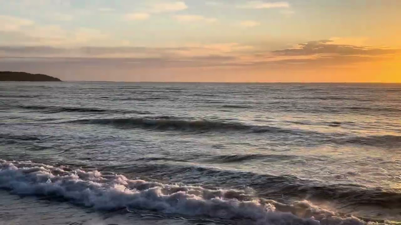20.10.2025 Sydney Surf Report Dee Why Beach Australia 
